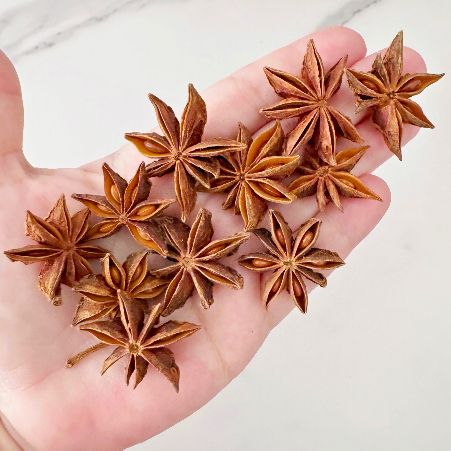 Star Anise