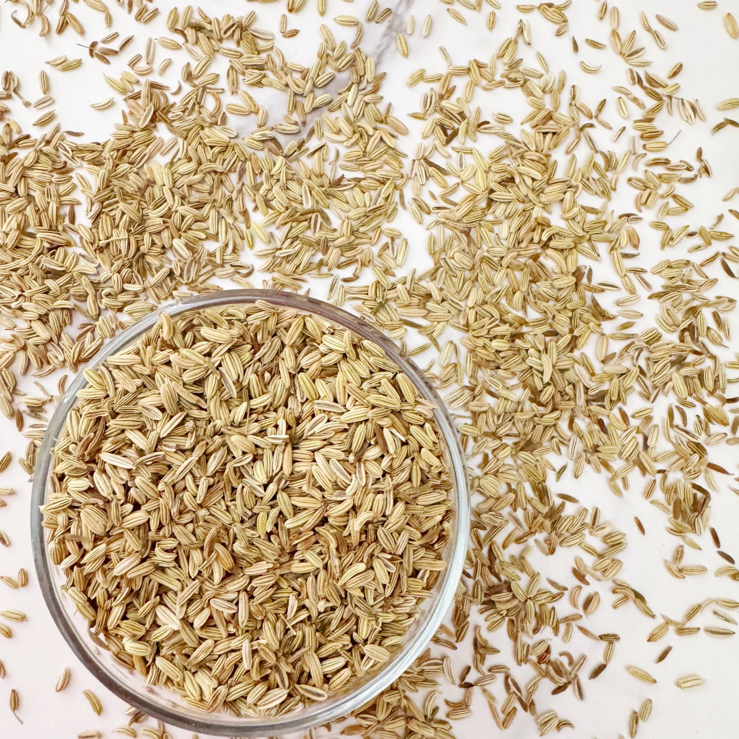 Fennel Seed (Whole)