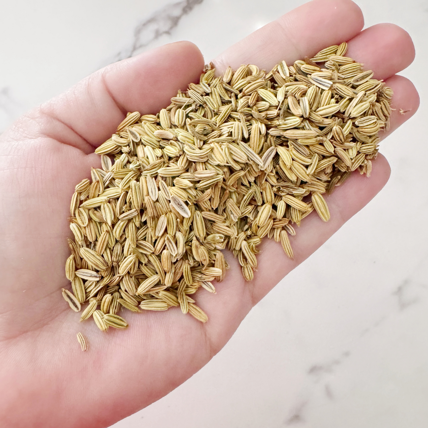 Fennel Seed (Whole)