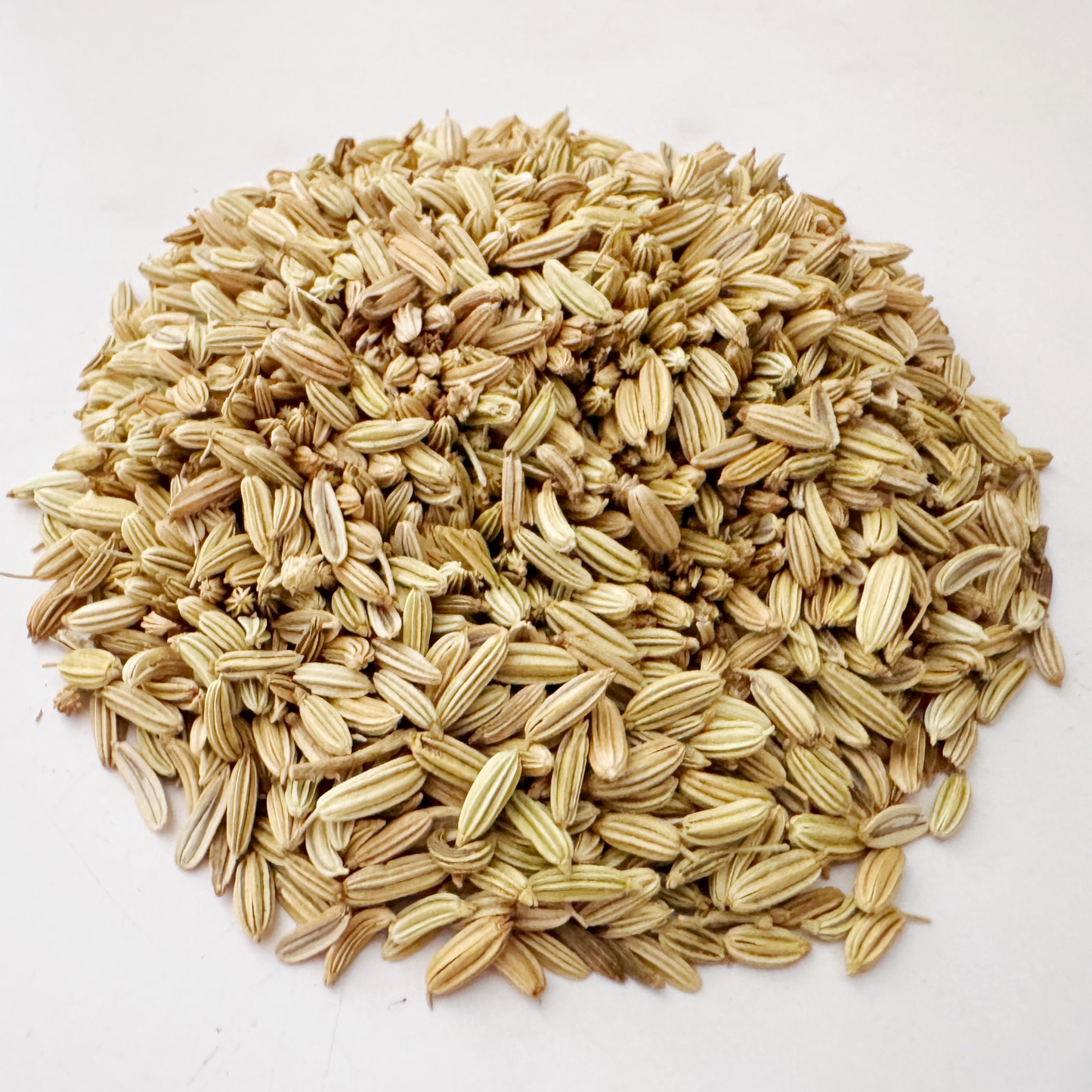 Fennel Seed (Whole)