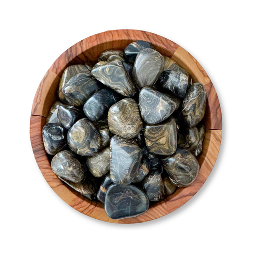 Stromatolite Tumbled Stones