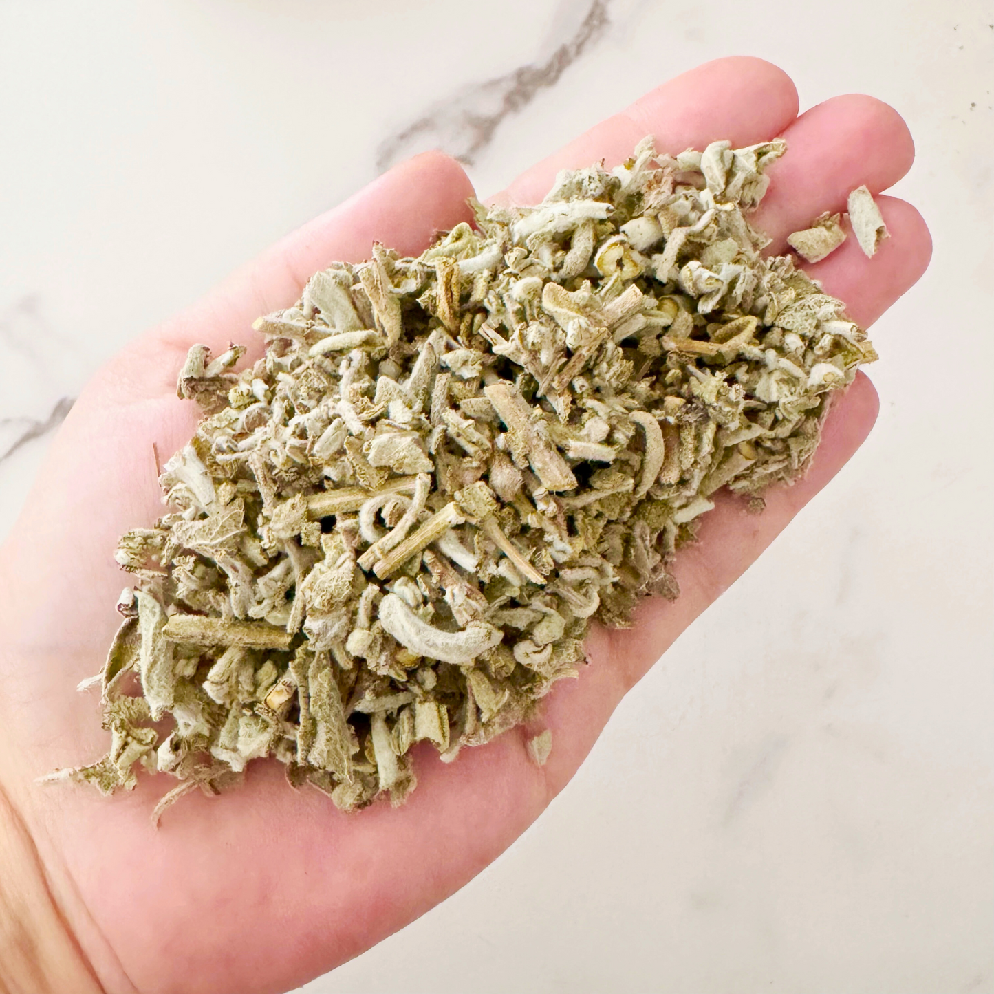 Sage Leaf