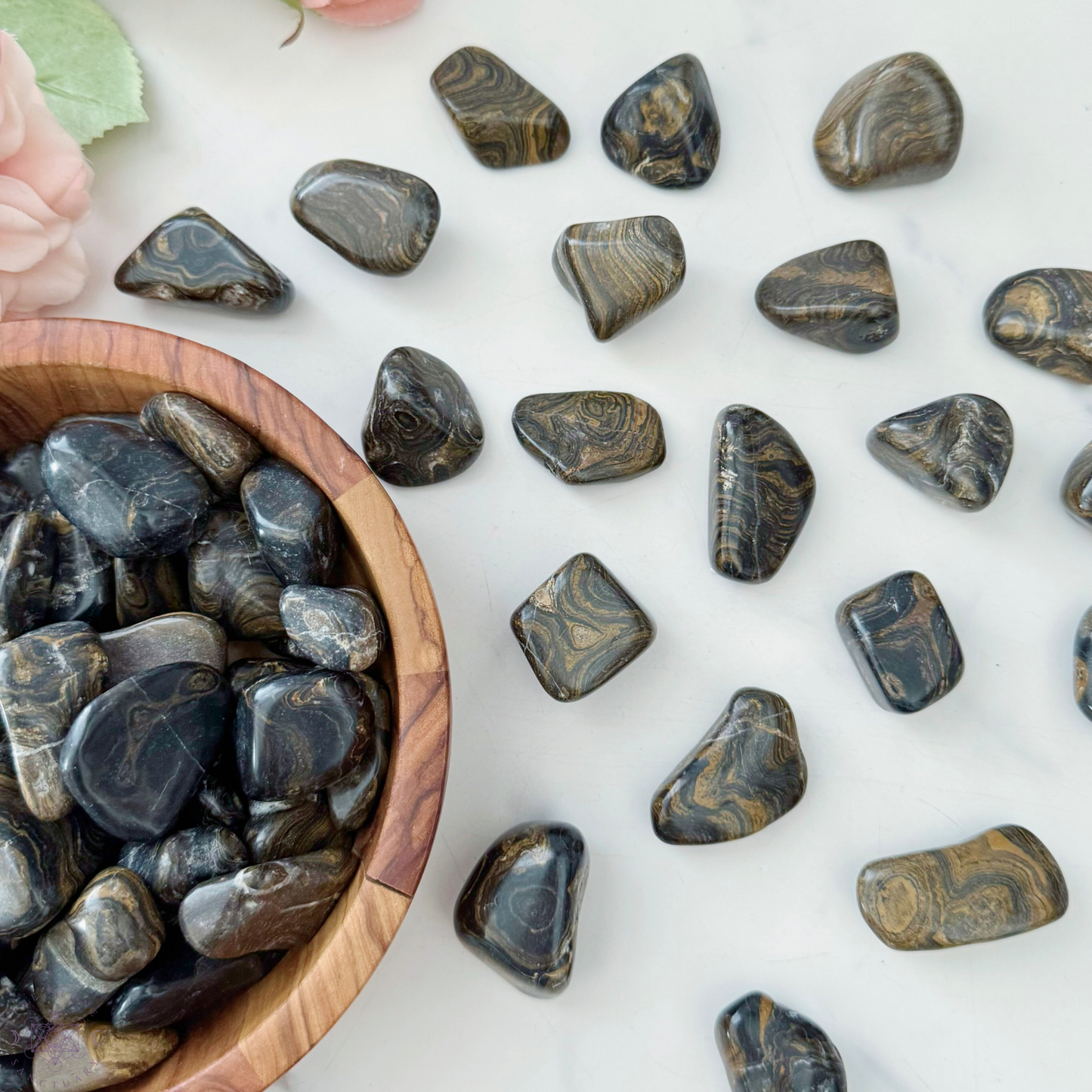 Stromatolite Tumbled Stones