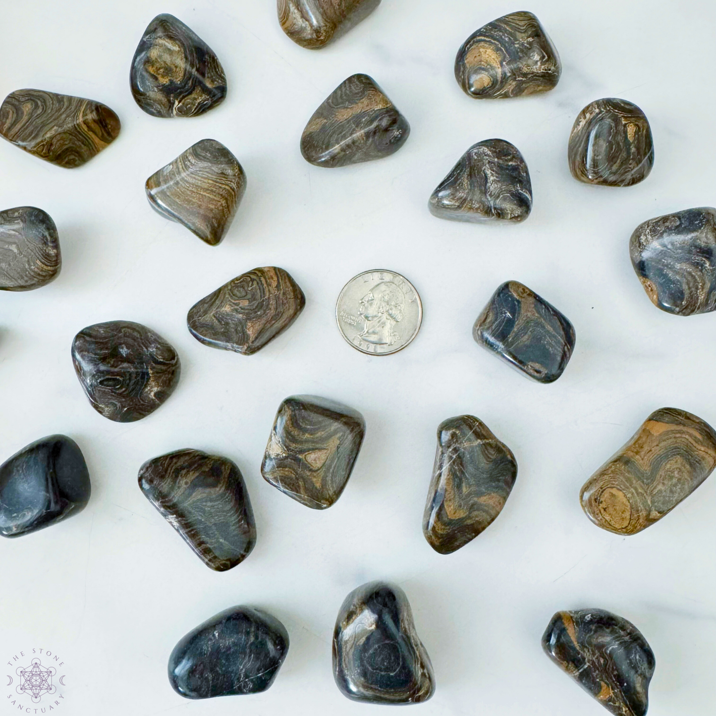 Stromatolite Tumbled Stones