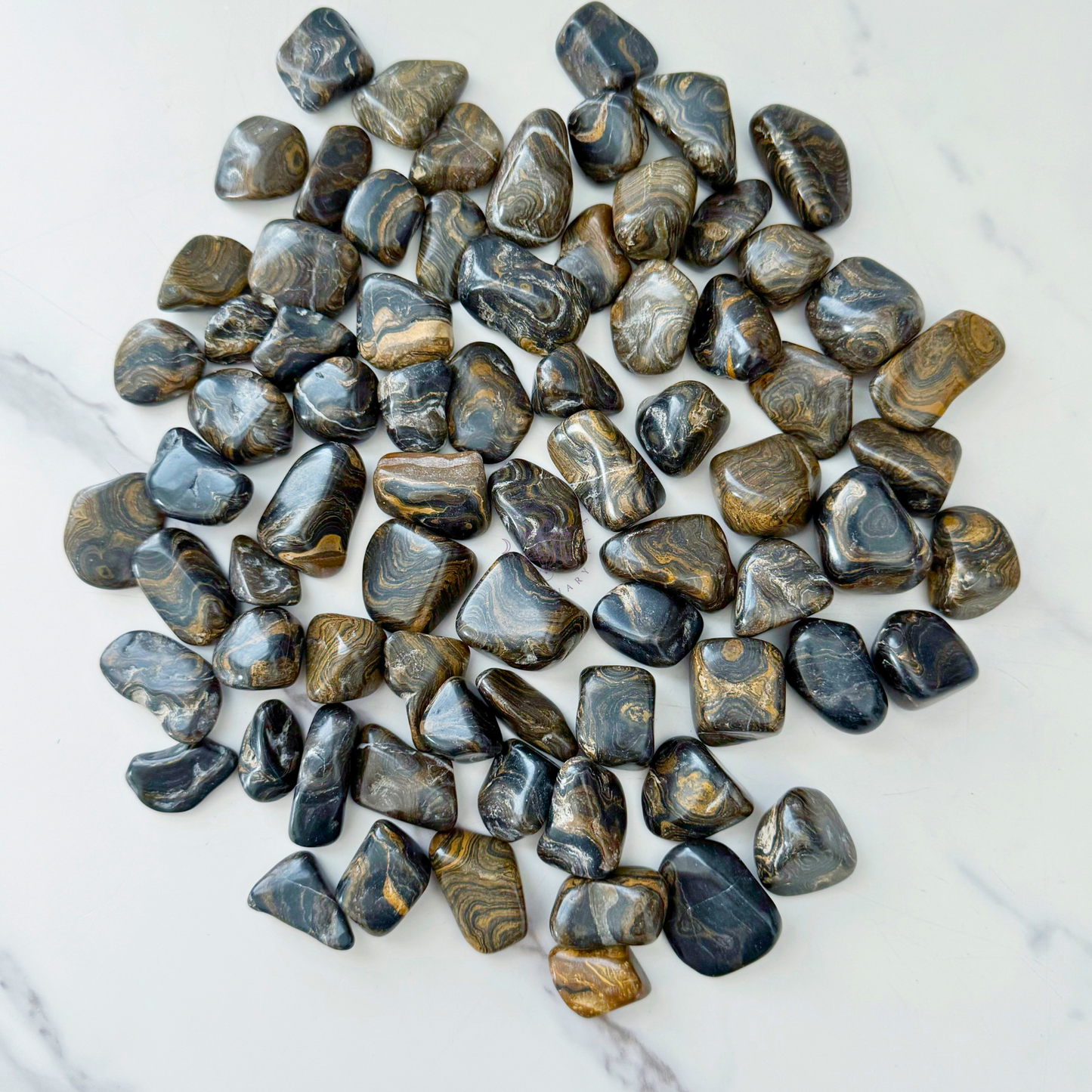 Stromatolite Tumbled Stones