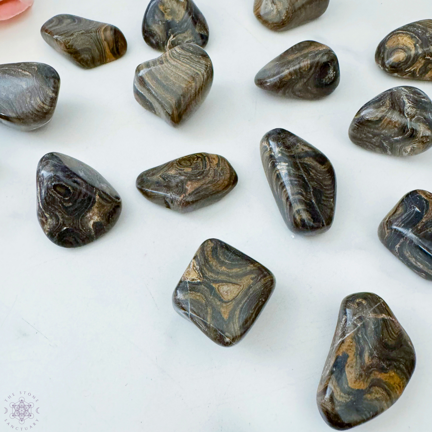 Stromatolite Tumbled Stones
