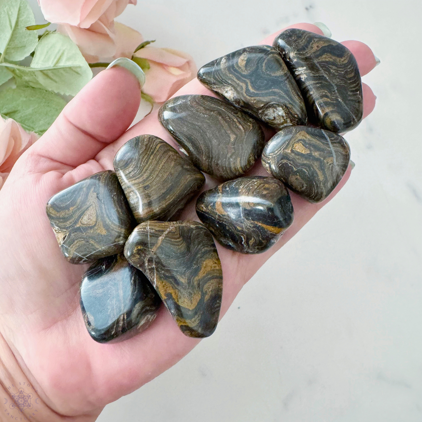 Stromatolite Tumbled Stones