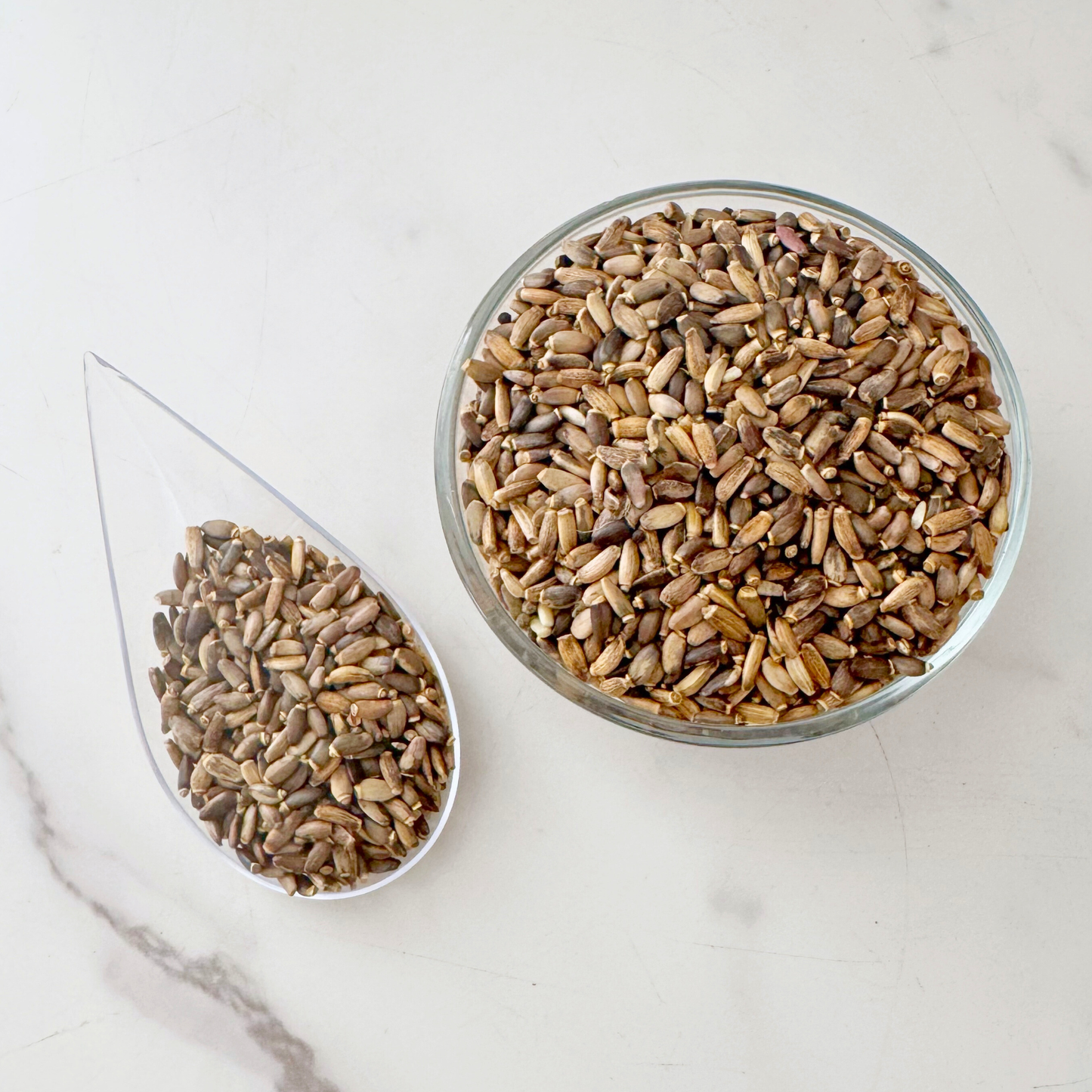 Milk Thistle Seed, Whole, Organic