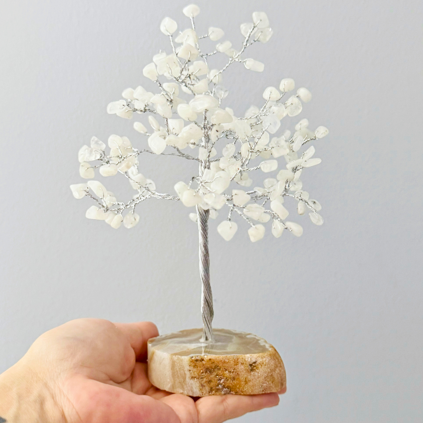 7.5" Rainbow Moonstone with Agate Base Gemstone Tree
