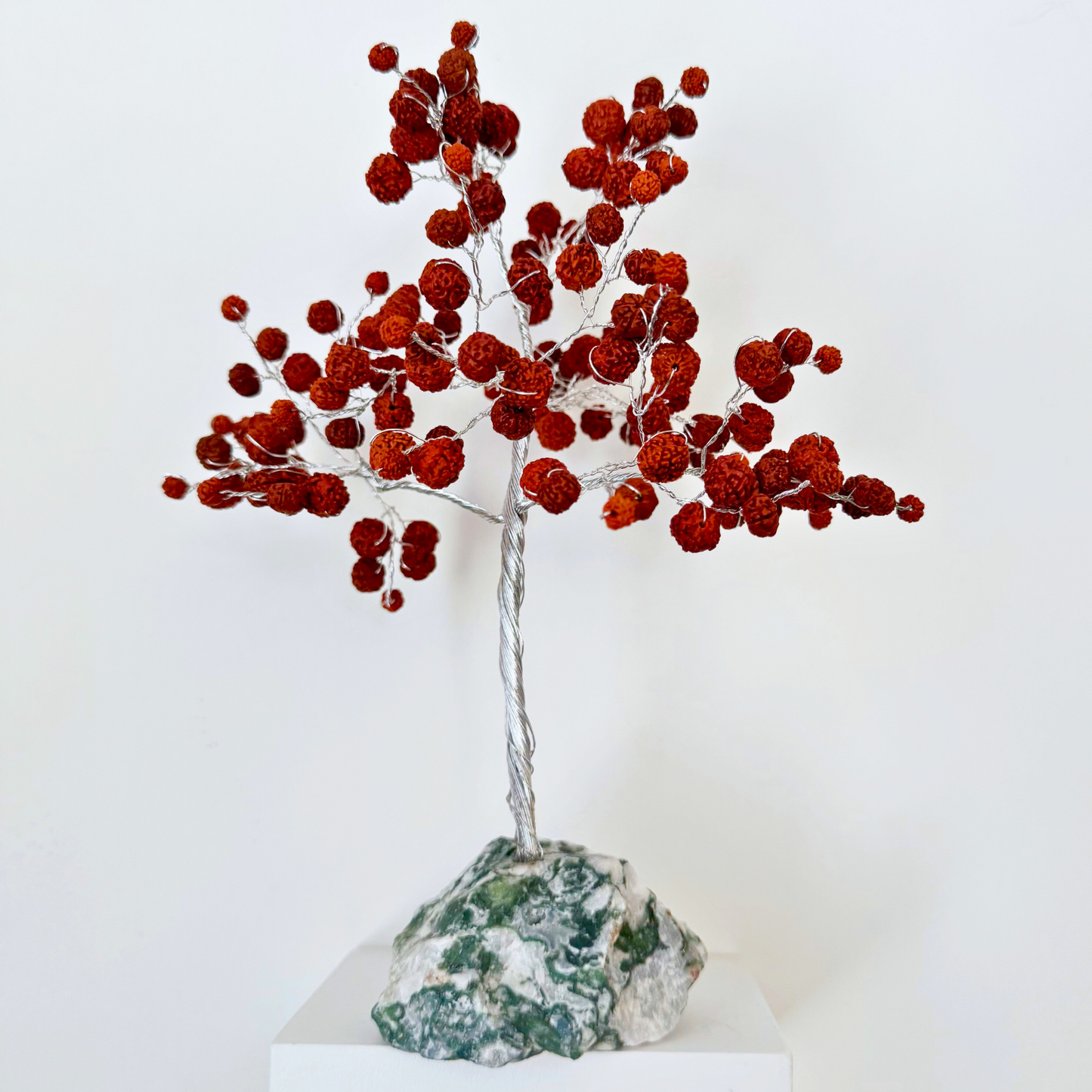 8" Rudraksha Gemstone Tree with Tree Agate Base