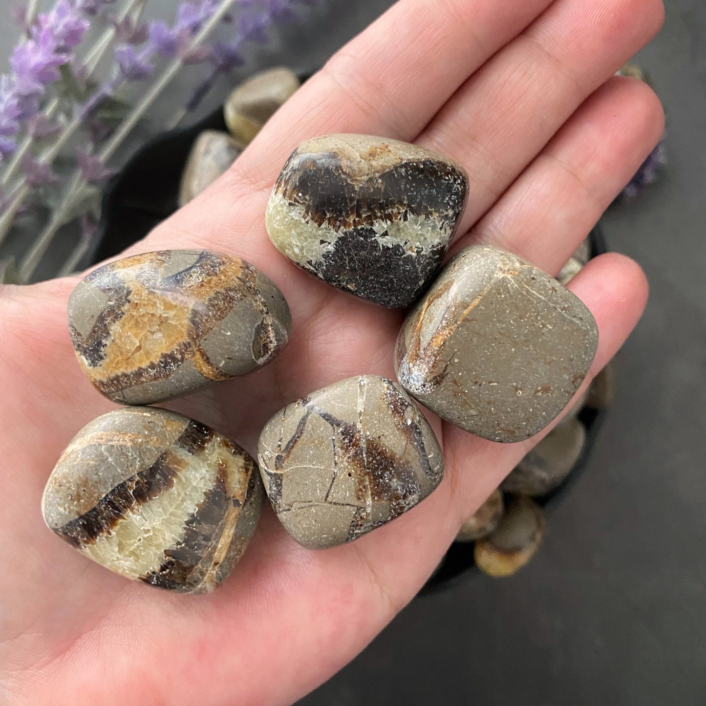 Septarian Tumbled Stones