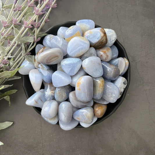 A black bowl filled with polished Blue Chalcedony Tumbled Stones sits on a gray surface. To the left of the bowl, there is a sprig of purple flowers and green leaves. The stones display swirling patterns of blue, white, and occasional tan hues, enhancing mental flexibility and verbal dexterity.