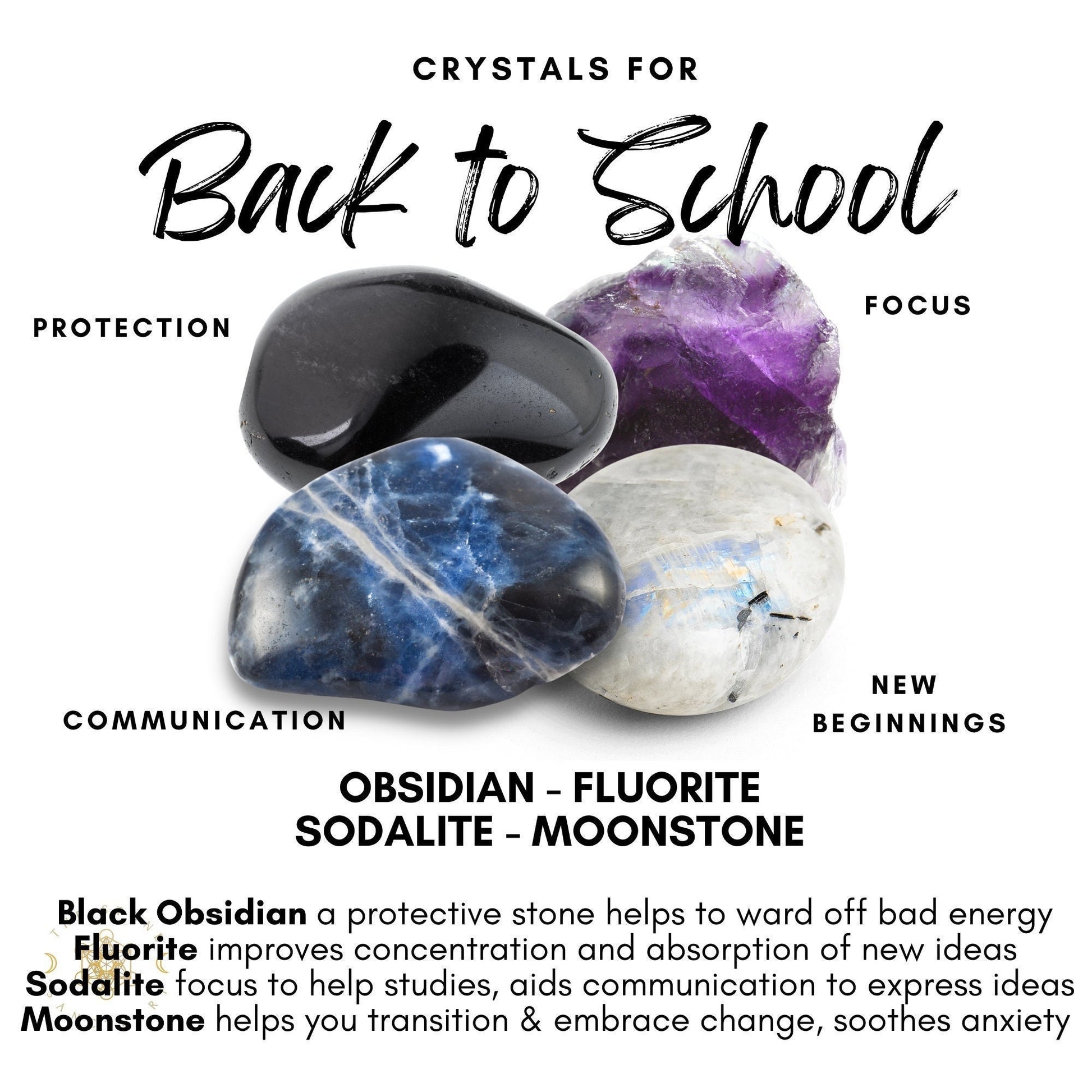A "Back to School Crystal Kit" image featuring four healing crystals labeled for their benefits: Black Obsidian (Protection), Fluorite (Focus), Sodalite (Communication), and Moonstone (New Beginnings). Descriptions outline how each crystal can assist during the school year, providing both focus and anxiety relief.