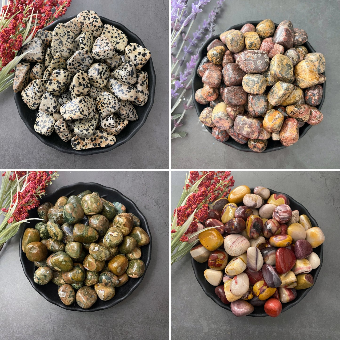 Animal Communication Crystal Kit