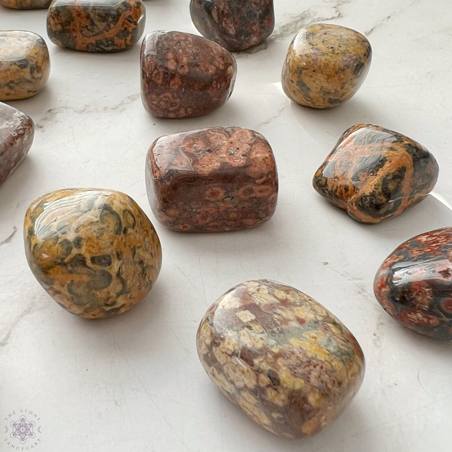 Leopard Skin Jasper Tumbled Stones