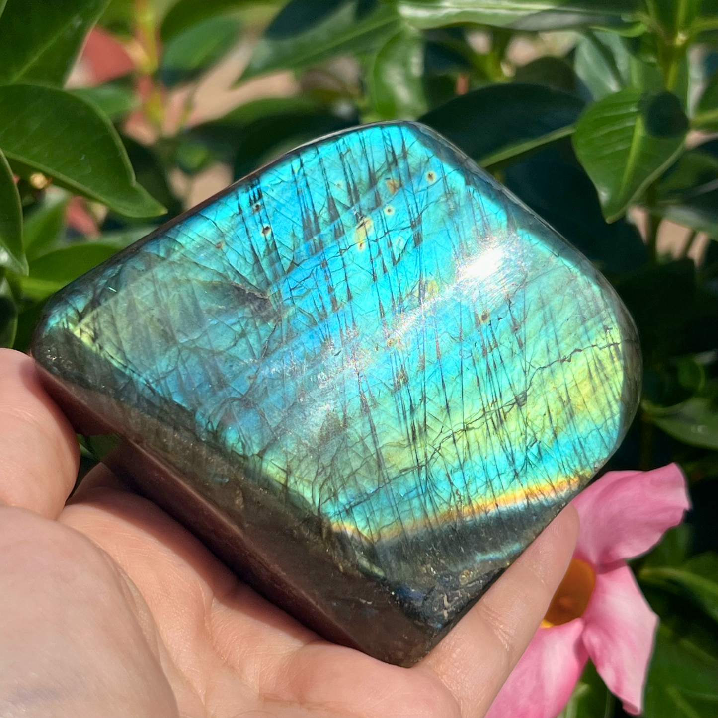 Labradorite Free Shapes