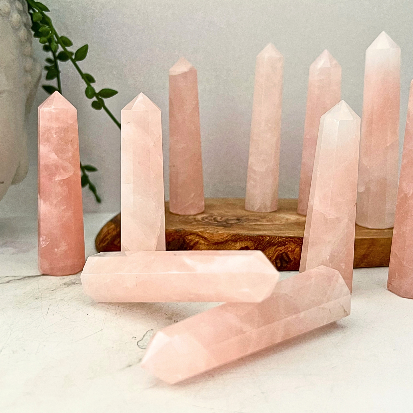 3-4" Rose Quartz Six Sided Standing Point