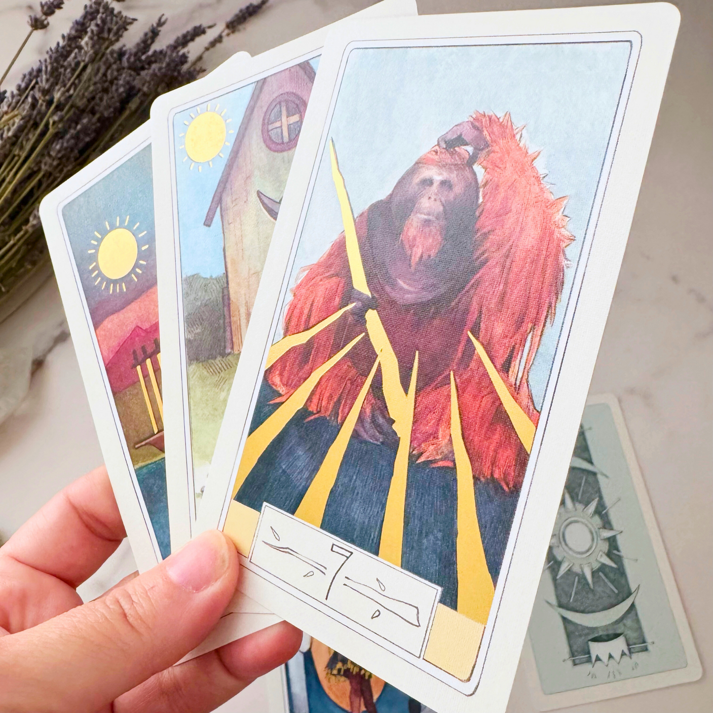 Curious Travels Tarot Deck