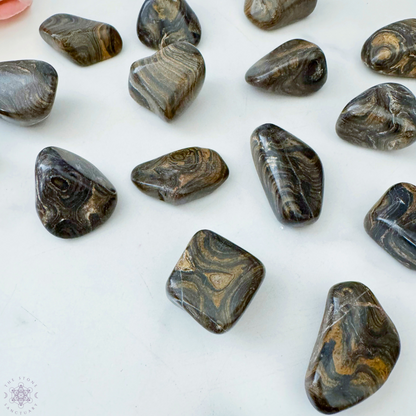 Stromatolite Tumbled Stones