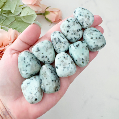 Kiwi Jasper Tumbled Stones