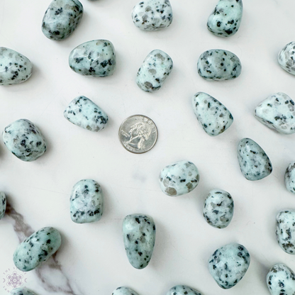 Kiwi Jasper Tumbled Stones