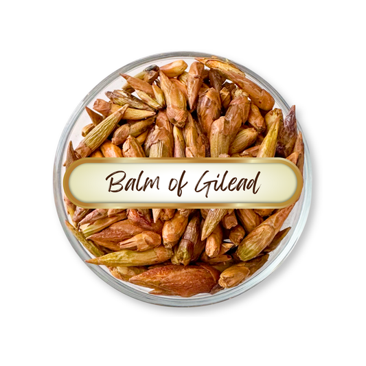 Balm Of Gilead Buds, Organic