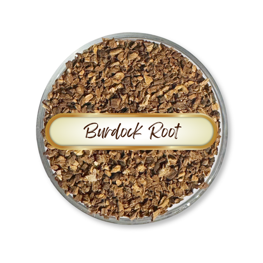 Burdock Root, Cut and Sifted, Organic