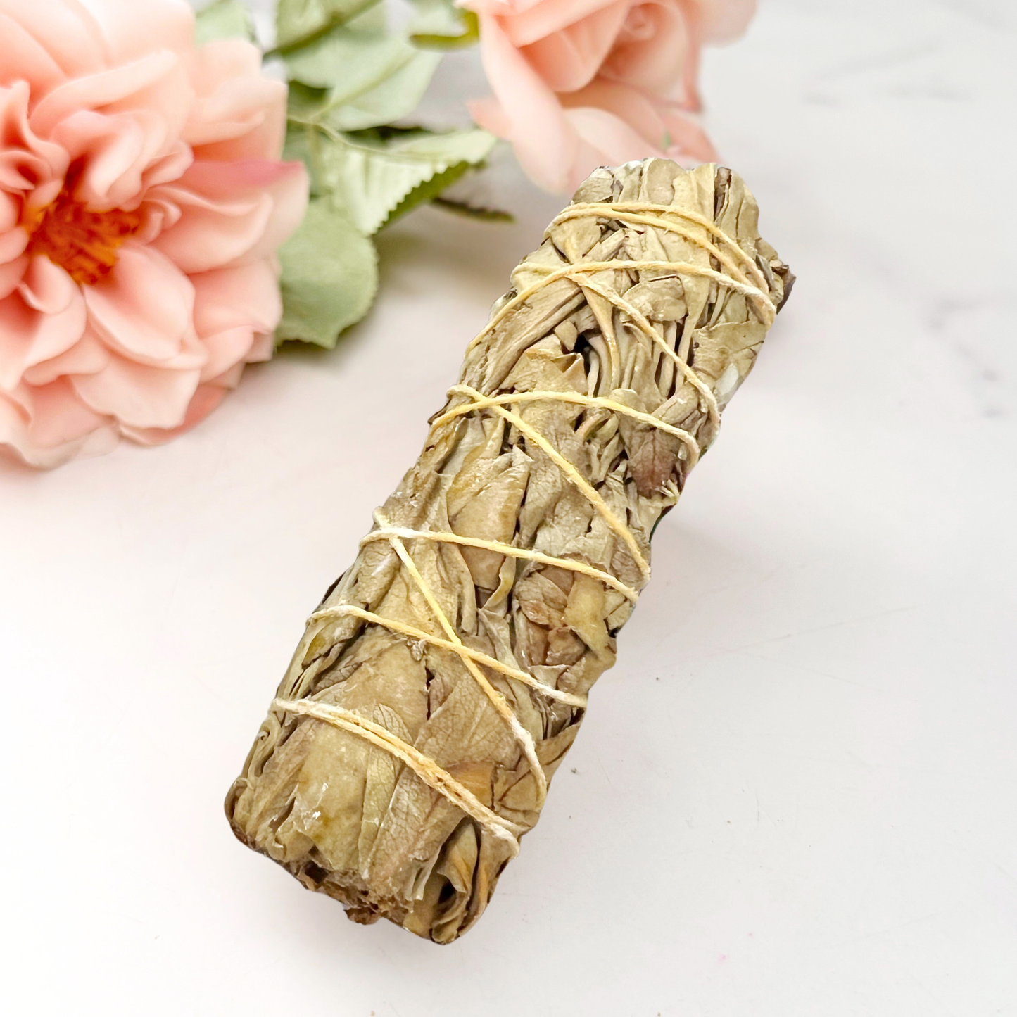 Organic White Sage with Dammar