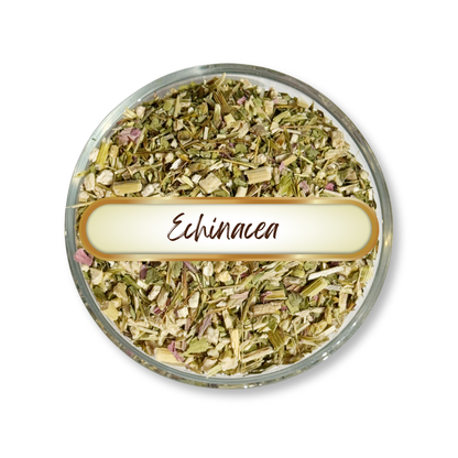Echinacea Purpurea Herb, Cut and Sifted, Organic
