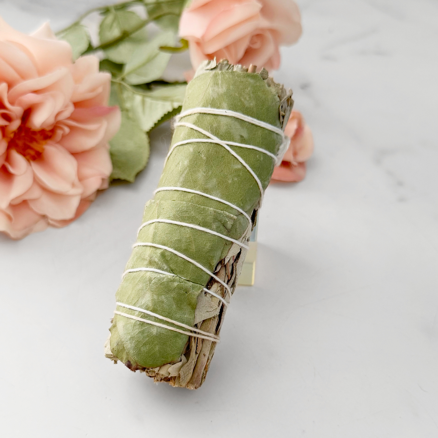 Eucalyptus & Organic White Sage Smudge Stick