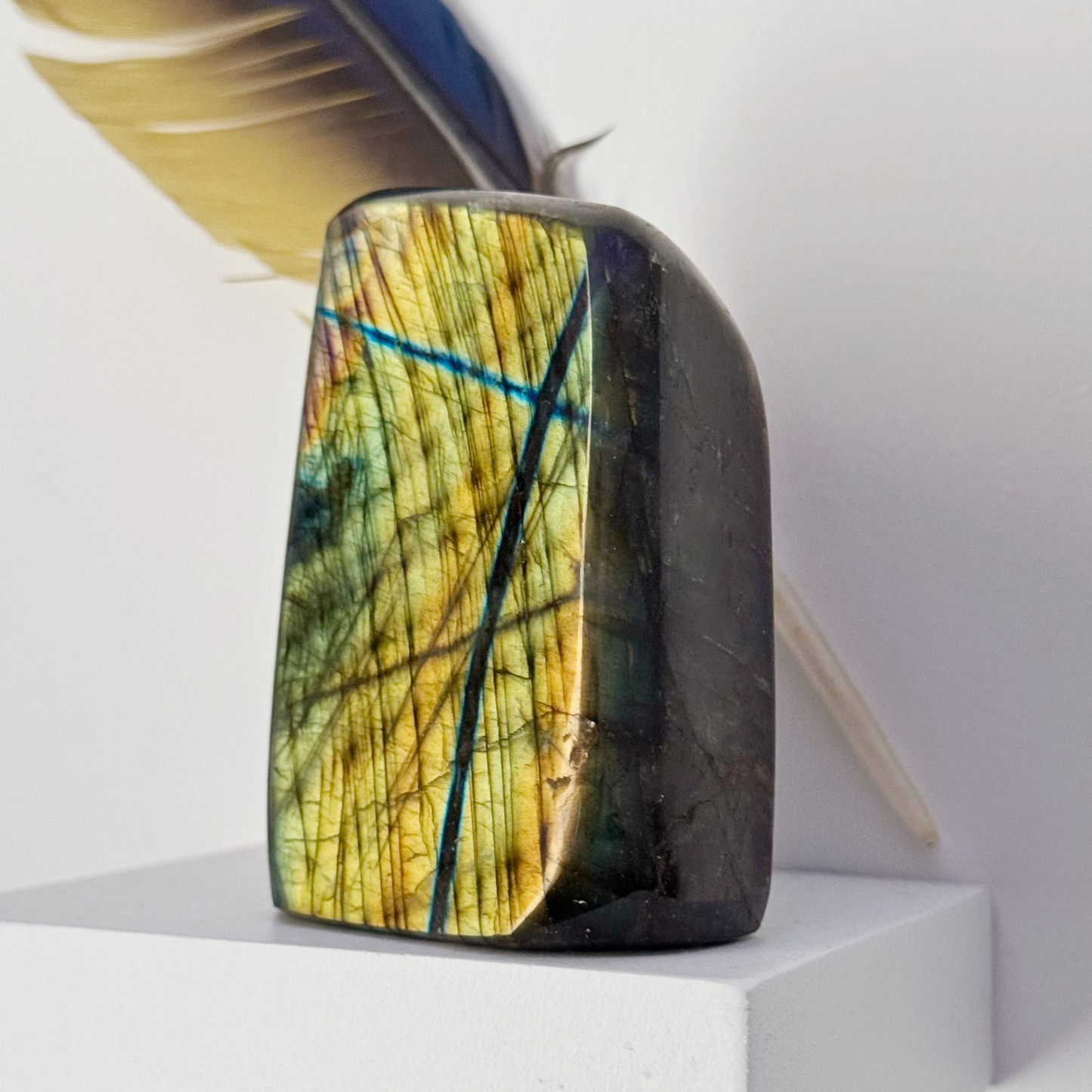 Labradorite Free Shapes