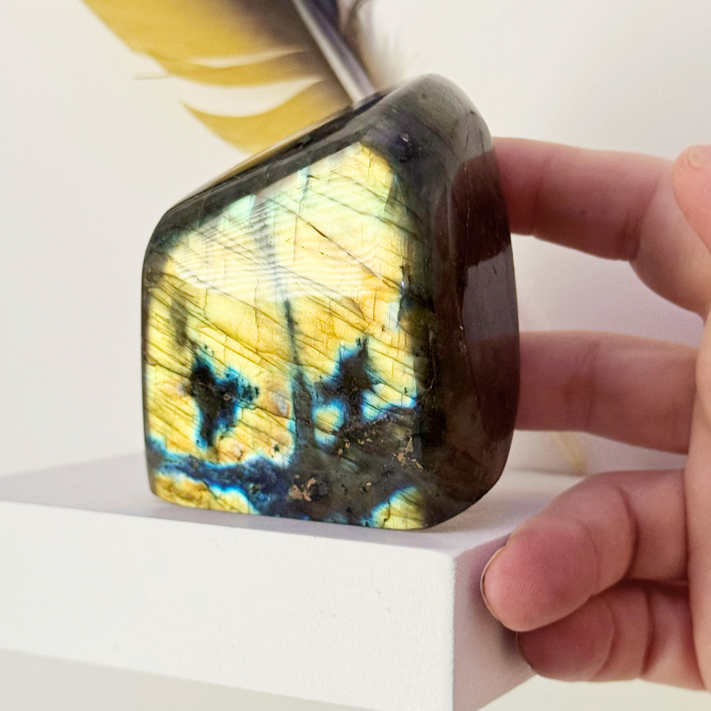 Labradorite Free Shapes