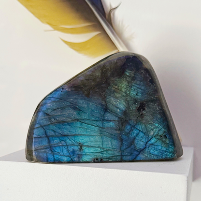 Labradorite Free Shapes