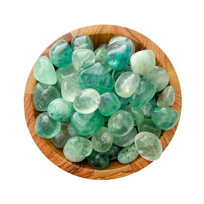 Green Fluorite Tumbled Stones The Stone Sanctuary