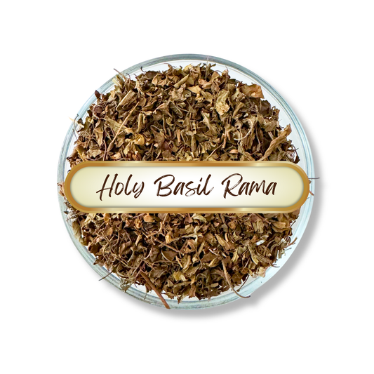 Holy Basil Herb, Rama Tulsi, Cut and Sifted, Organic