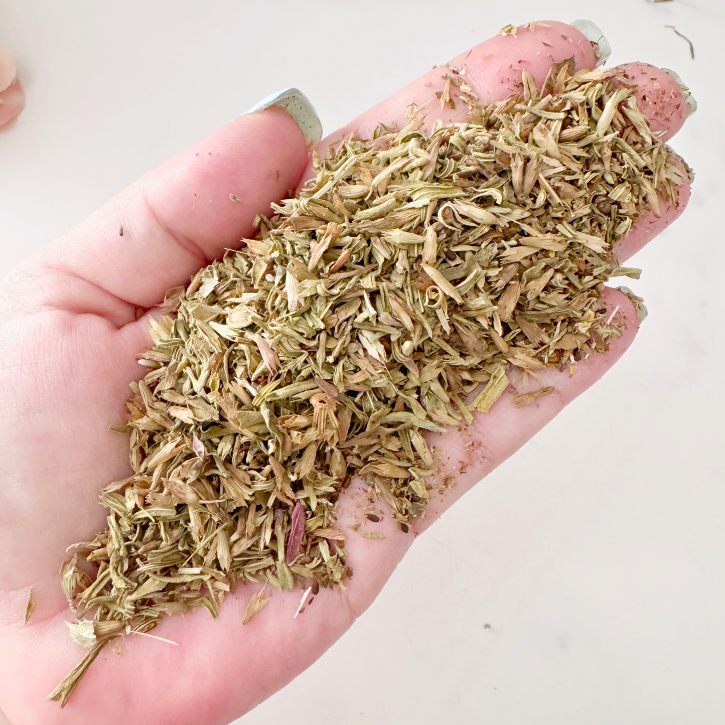 Hyssop Herb, Cut and Sifted, Organic