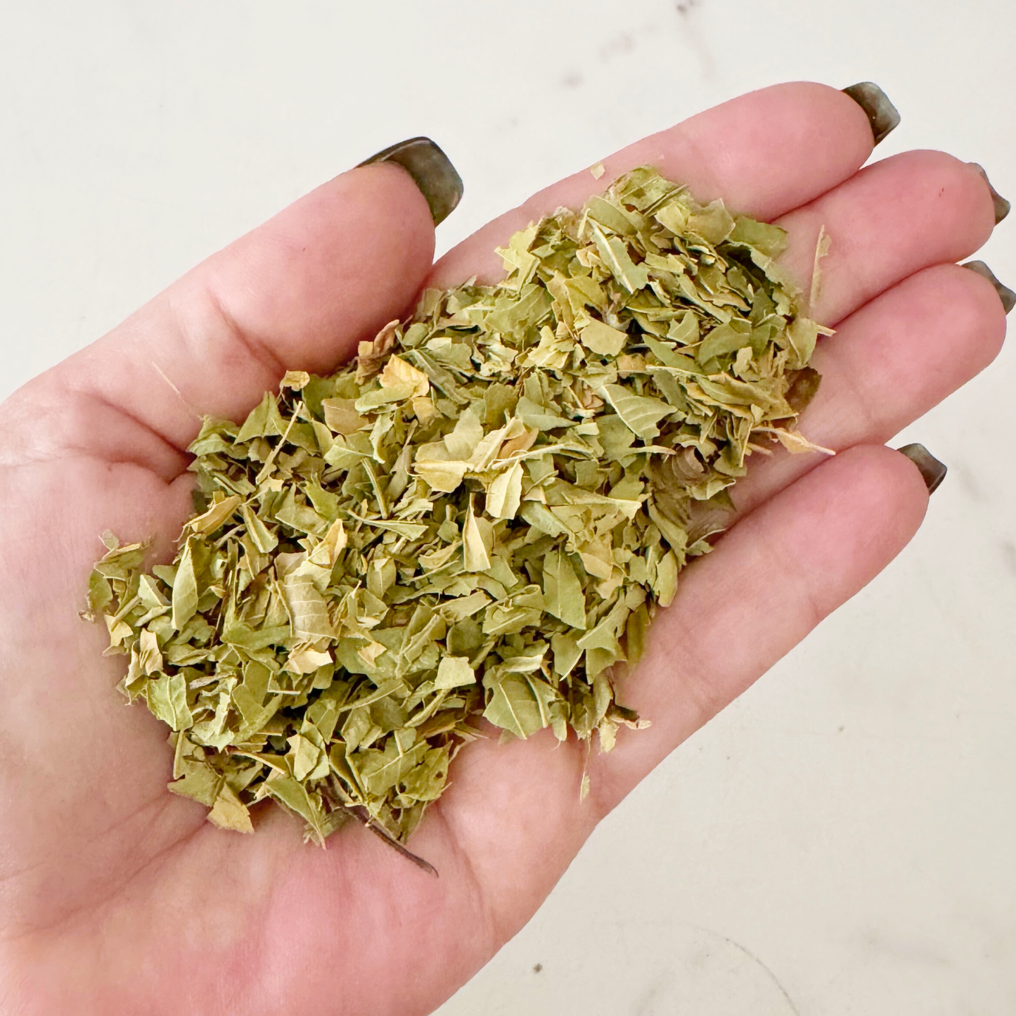 Lemon Verbena Leaf, Cut and Sifted, Organic