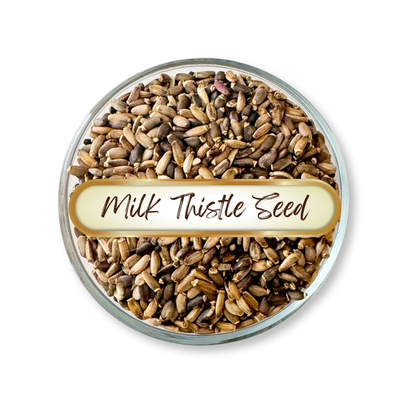 Milk Thistle Seed, Whole, Organic
