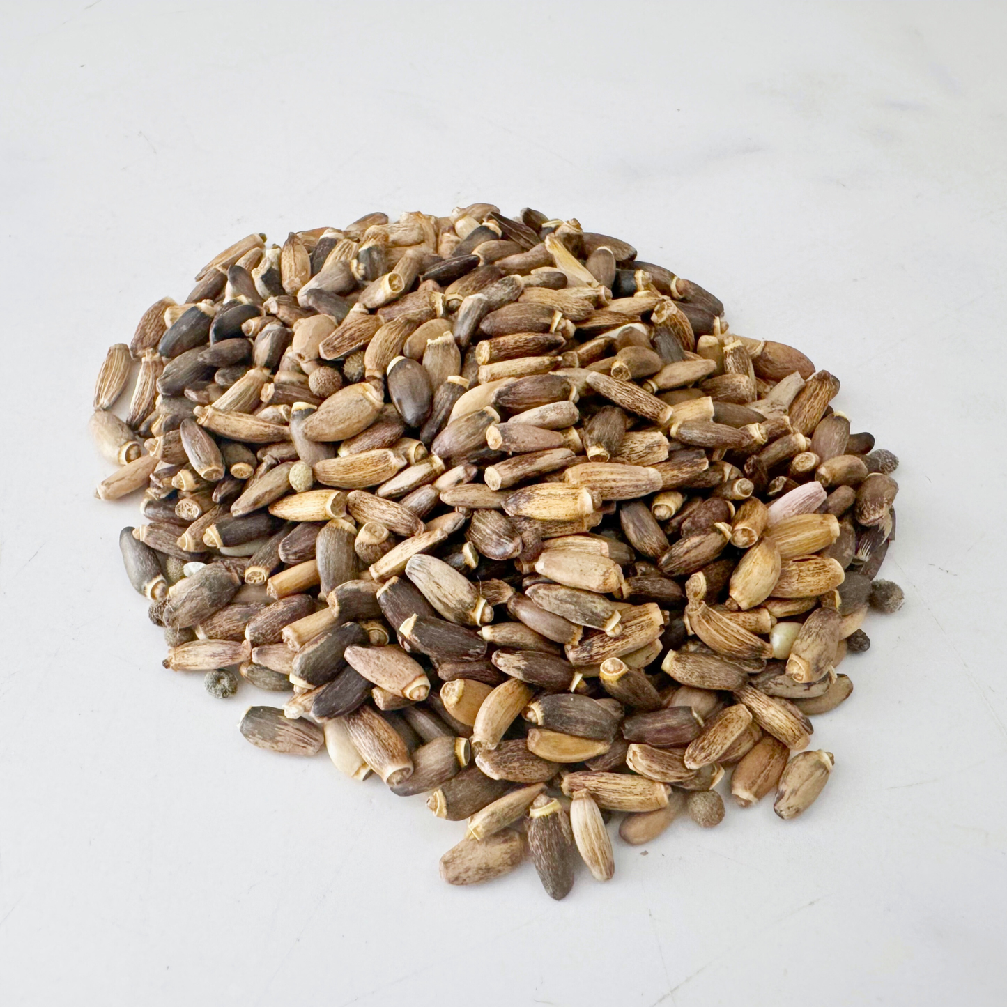 Milk Thistle Seed, Whole, Organic