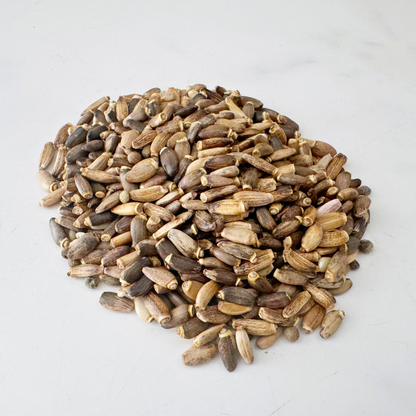 Milk Thistle Seed, Whole, Organic