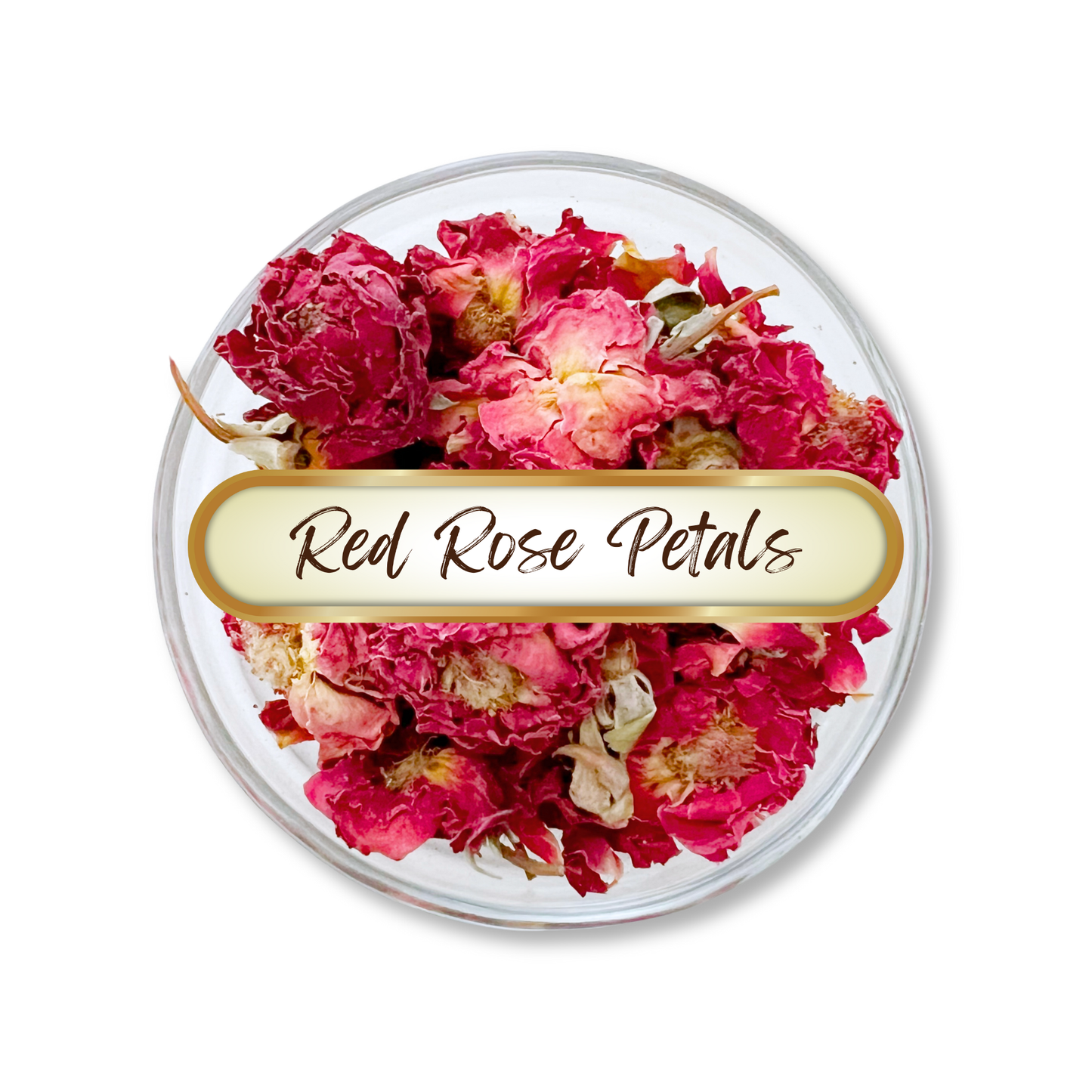 Red Rose Buds and Petals, Whole