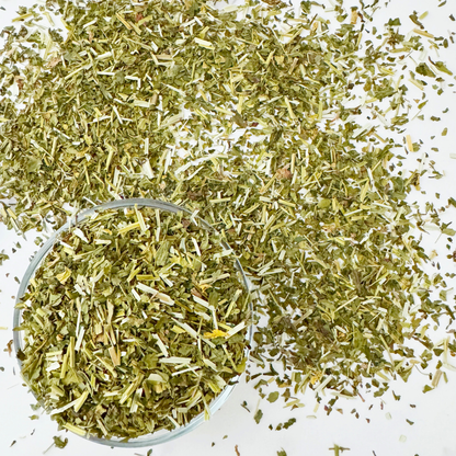 Skullcap Herb Cut and Sifted Organic