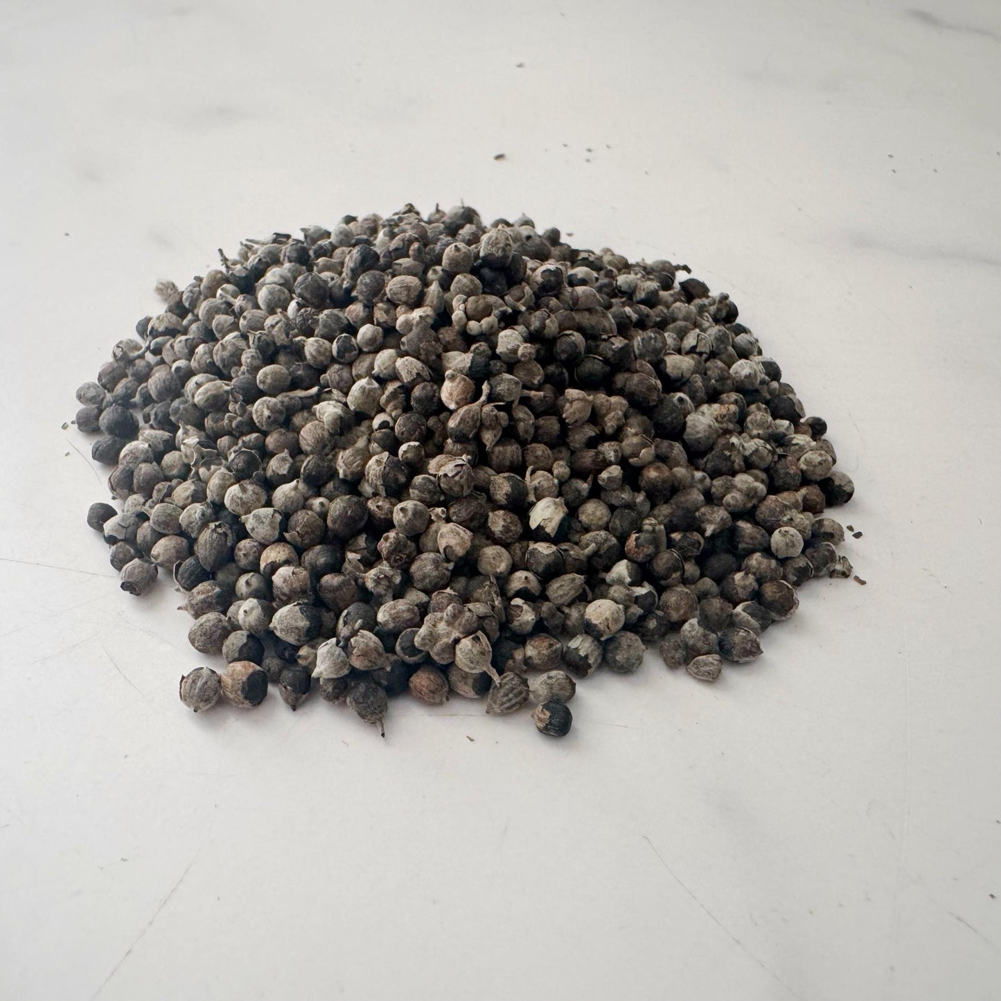 Chaste Tree Berries, Whole, Organic