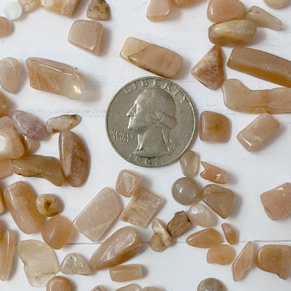 Peach Moonstone Crystal Chips