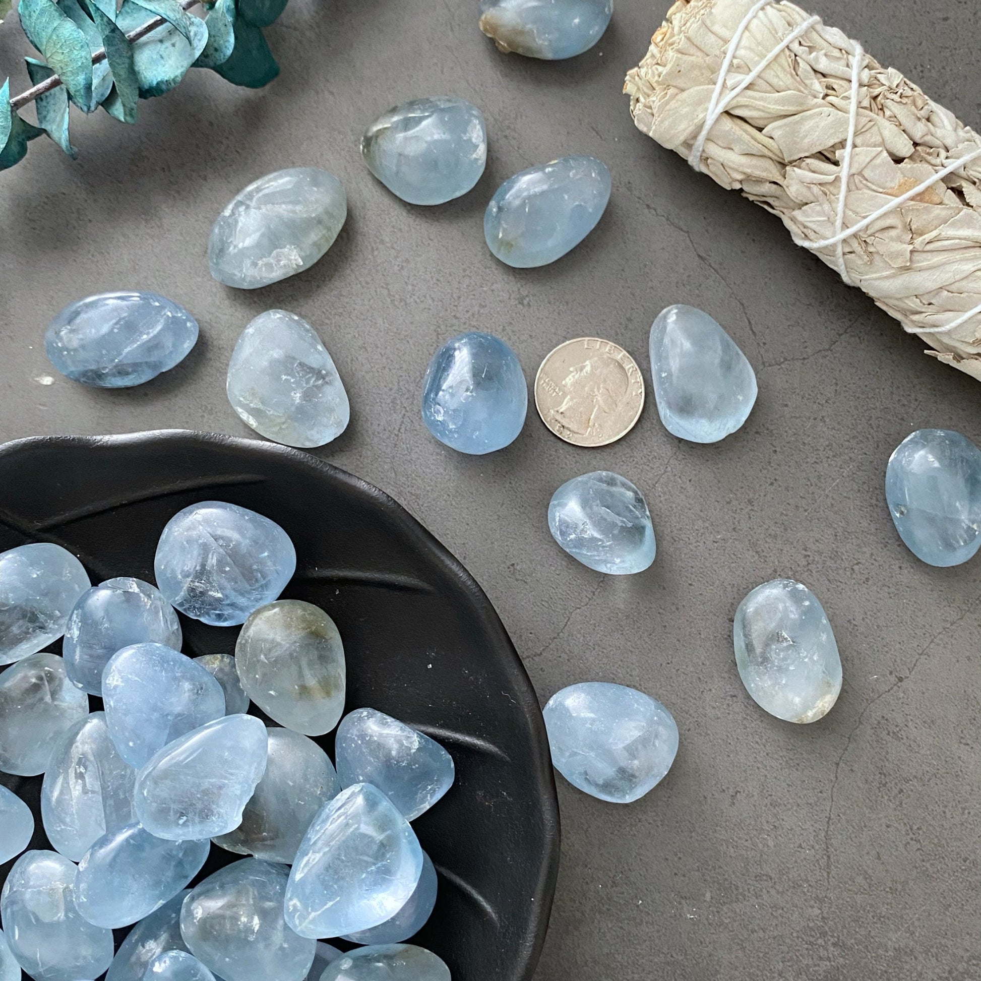 A black bowl filled with smooth, translucent Celestite Tumbled Stones sits on a gray surface. To the left of the bowl are red dried flowers with green stems, adding a contrasting color to the composition. The healing crystals enhance the serene ambiance of the scene.