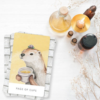 White Sage Tarot in Tin