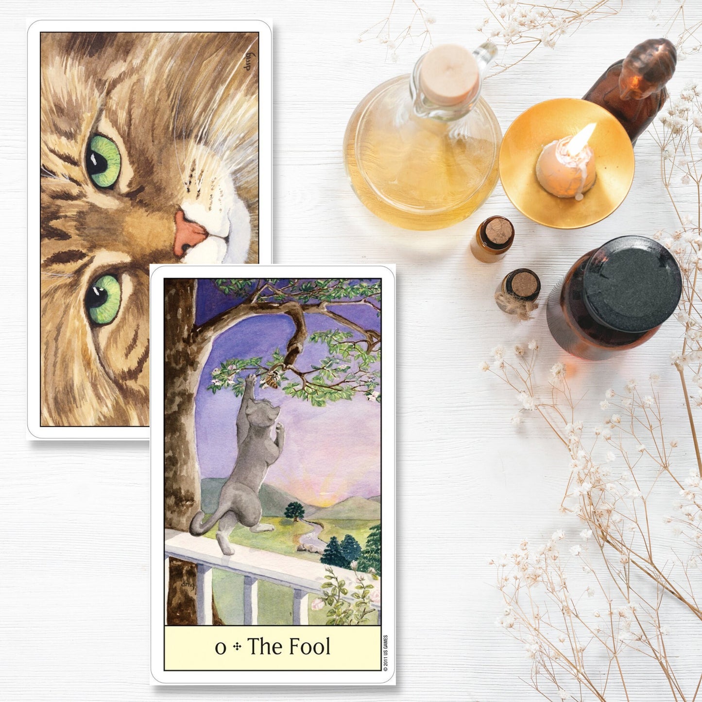 Cat's Eye Tarot Card Deck