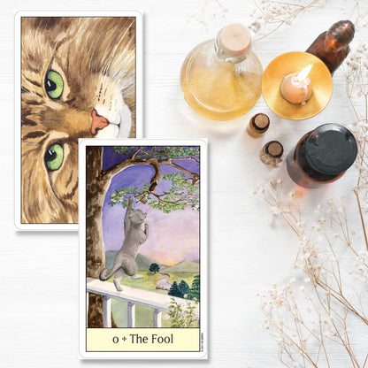 Cat's Eye Tarot Card Deck