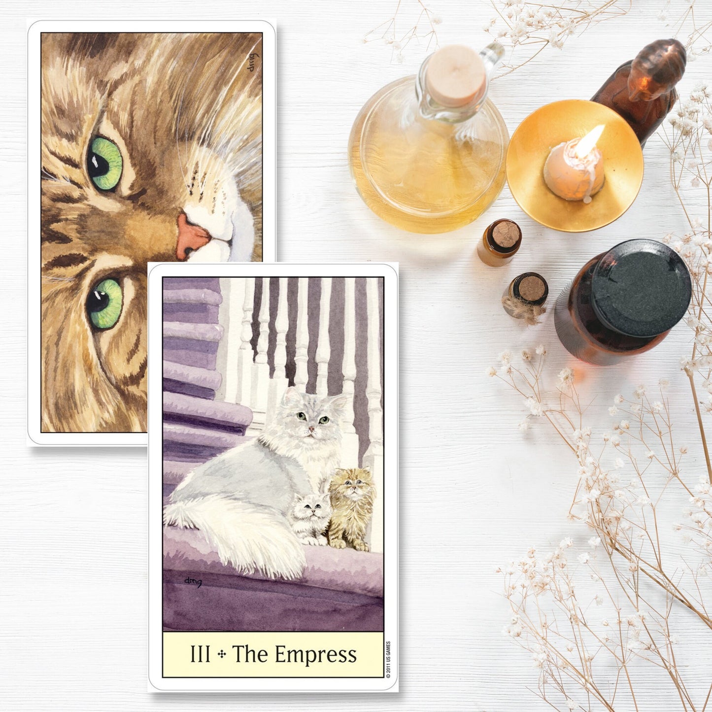 Cat's Eye Tarot Card Deck