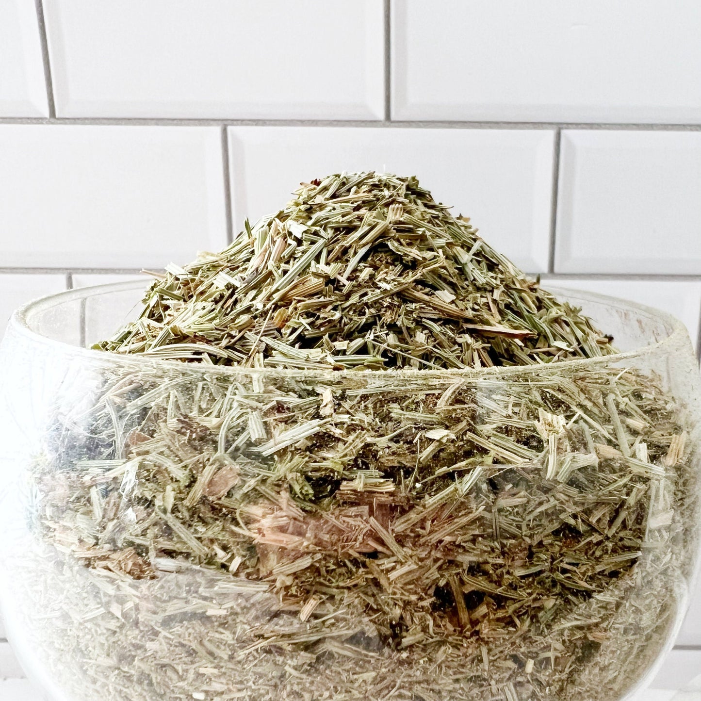 Shavegrass Herb